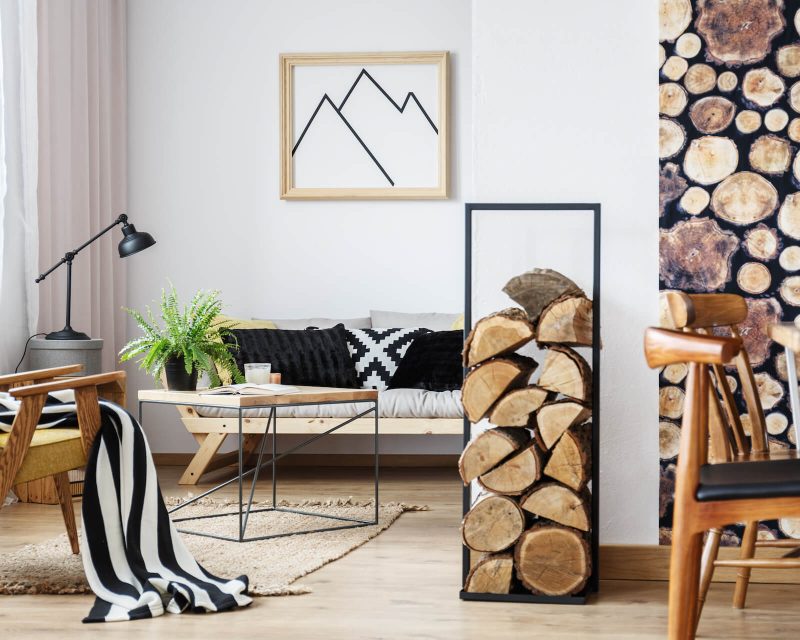 cozy-winter-interior-design-2021-08-26-15-43-12-utc.jpg